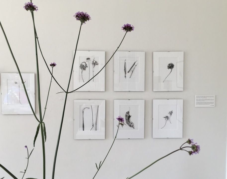 Installation shot Jane Deering Gallery Silver and Grey | Leslie Lewis Sigler & Paul Cary Goldberg
