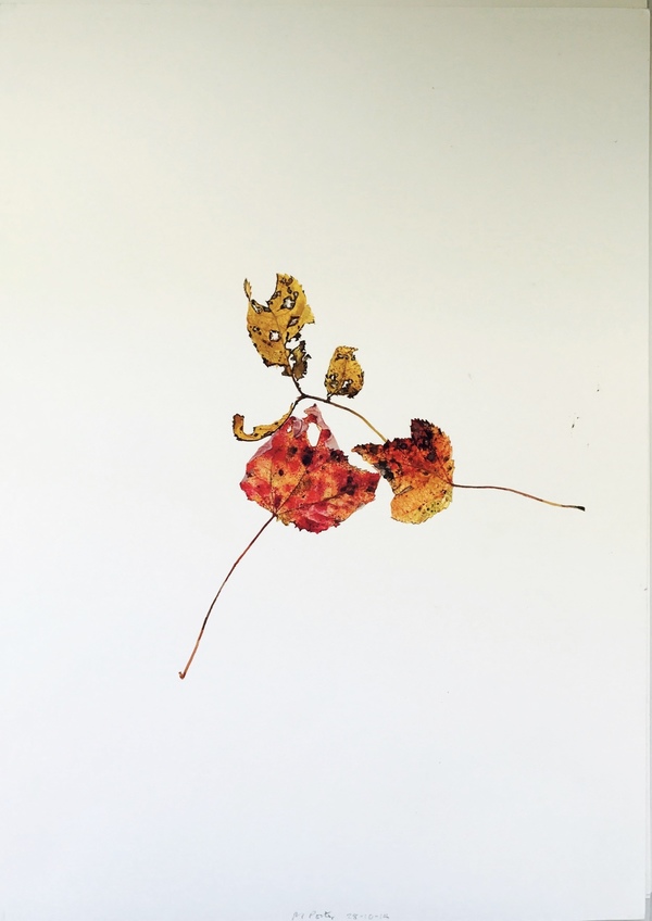 28th of October 2014 Jane Deering Gallery Deep in the Quiet Wood Watercolor on paper