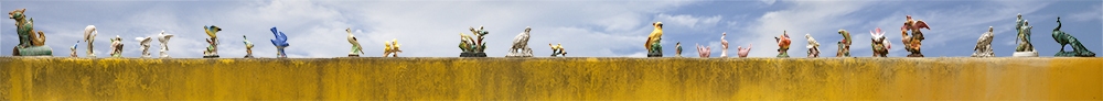 Shelf Series, Birds Jane Deering Gallery Wayne McCall Ultrachrome print