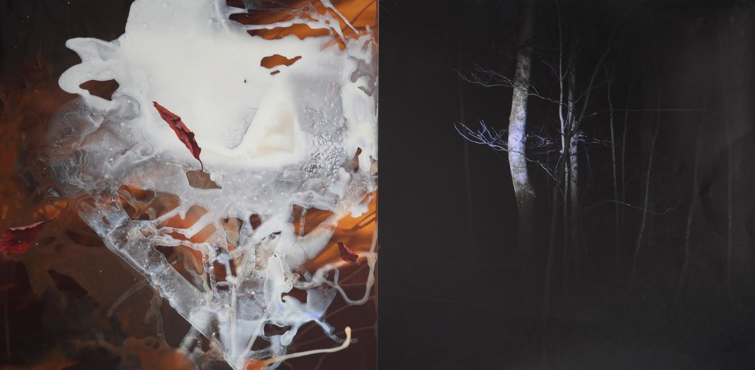 Day and Night 1 Jane Deering Gallery Deep in the Quiet Wood Oil and acrylic on photograph