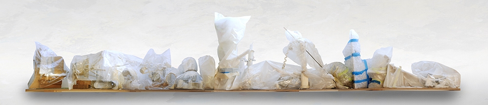 Shelf Series, Wrapped Jane Deering Gallery Wayne McCall Ultrachrome print