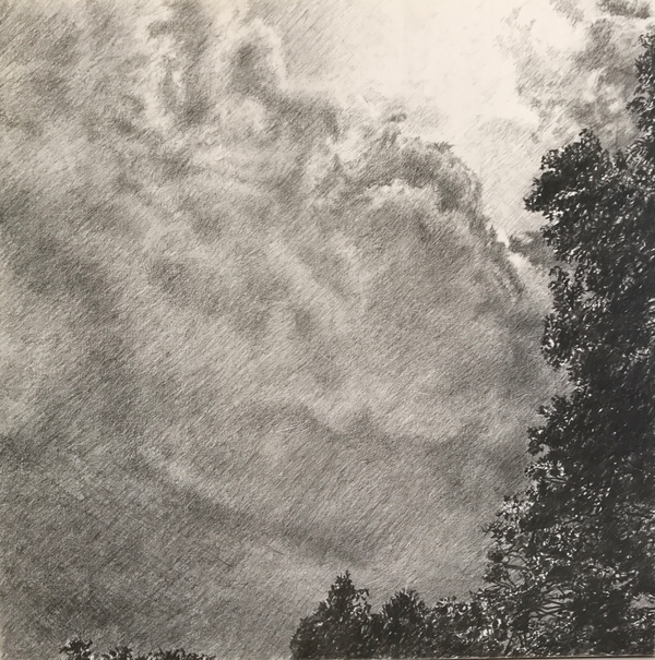 Gathering Jane Deering Gallery Deep in the Quiet Wood Graphite on panel