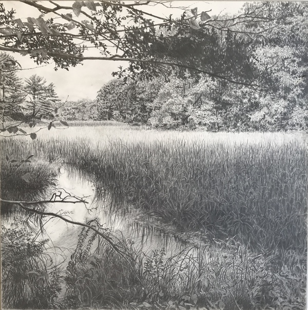 Refuge Jane Deering Gallery Deep in the Quiet Wood Graphite on panel