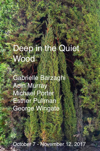 Deep in the Quiet Wood Jane Deering Gallery Deep in the Quiet Wood