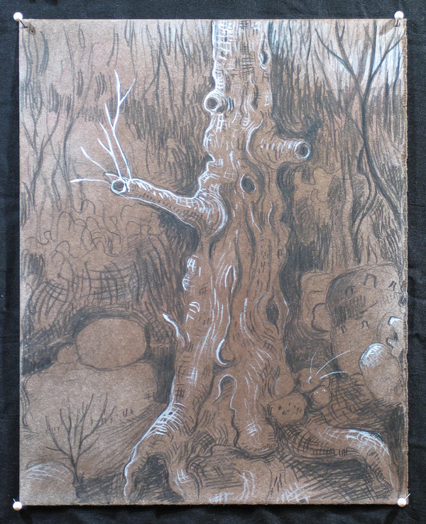 Knarly Tree 03 Jane Deering Gallery Deep in the Quiet Wood Dry Pigment, Graphite, and Gouache on Stonehenge paper