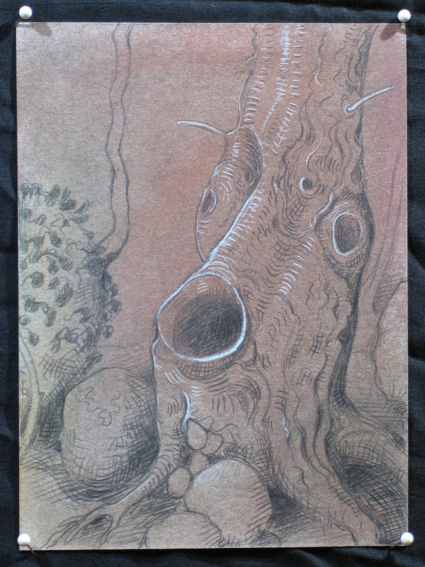 Knarly Tree 08 Jane Deering Gallery Deep in the Quiet Wood Dry Pigment, Graphite, and Gouache on Stonehenge paper