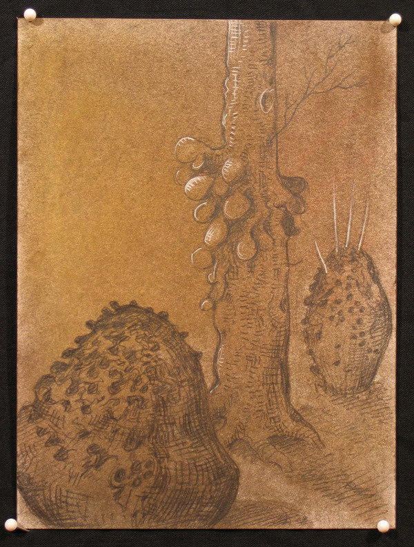 Knarly Tree 09 Jane Deering Gallery Deep in the Quiet Wood Dry Pigment, Graphite, and Gouache on Stonehenge paper