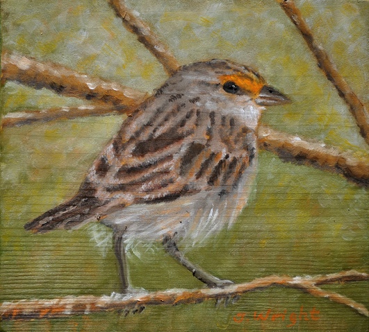 Sparrow Jane Deering Gallery Judith Wright | Jan Weinshanker Oil on canvas
