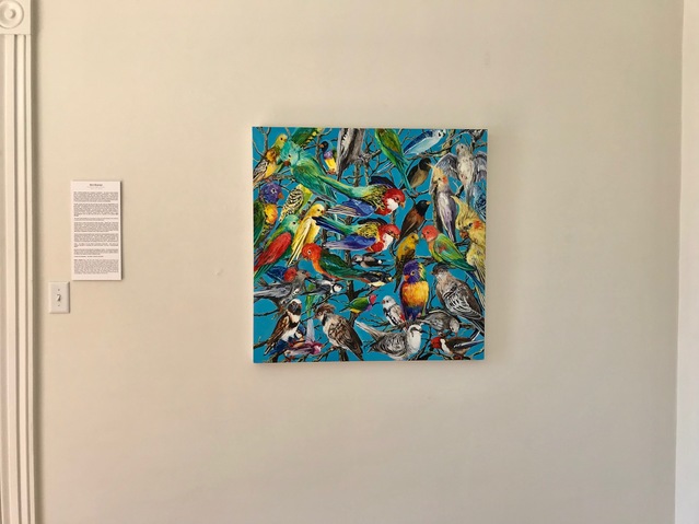 Installation shot of 'Birds of a Feather' Jane Deering Gallery Bird Brained | New Work by Heidi L Johnson