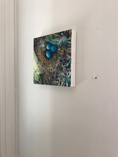 Installation shot of 'Not My House' Jane Deering Gallery Bird Brained | New Work by Heidi L Johnson