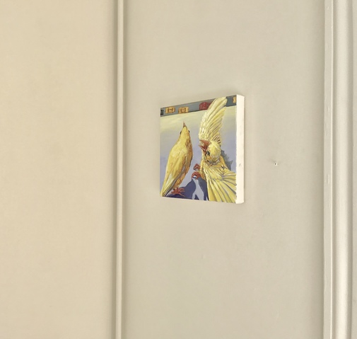 Installation shot of 'The Conversation' Jane Deering Gallery Bird Brained | New Work by Heidi L Johnson