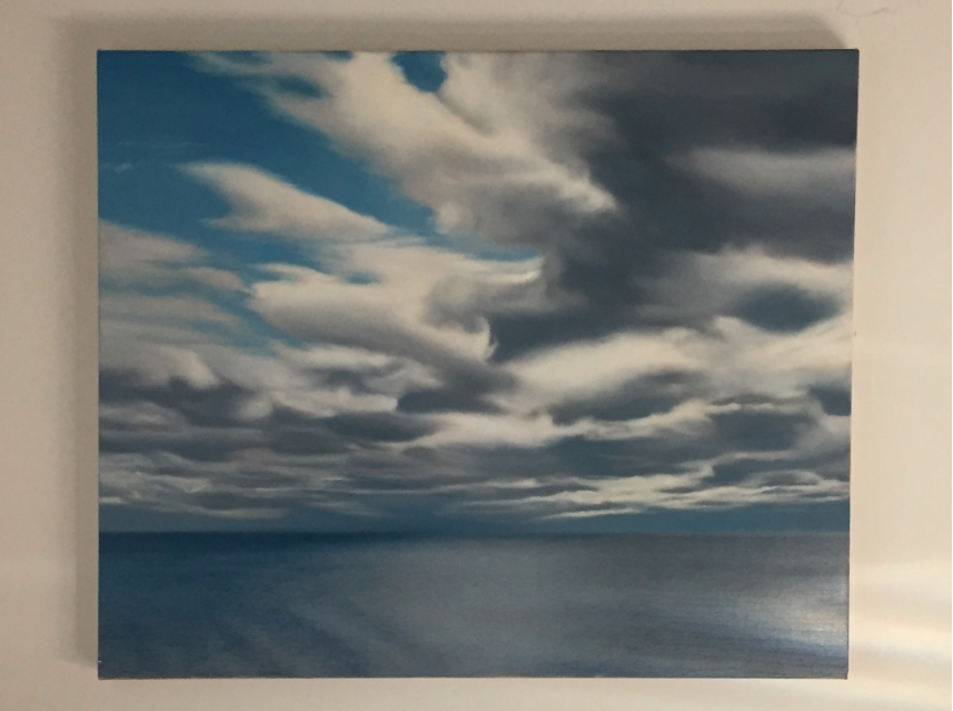 Flight Jane Deering Gallery Adin Murray Oil on canvas