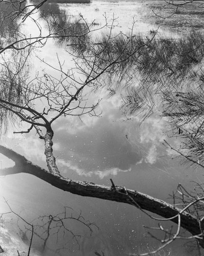 Marsh Sky Jane Deering Gallery Neither Mustard Nor Teeth Archival Inkjet Print