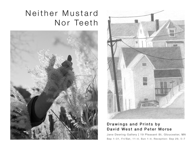 Neither Mustard Nor Teeth Jane Deering Gallery Neither Mustard Nor Teeth Exhibition Poster