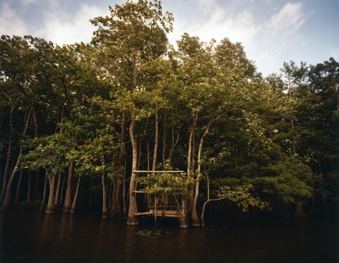 Berry Bay, Louisiana Jane Deering Gallery Nell Campbell C-print