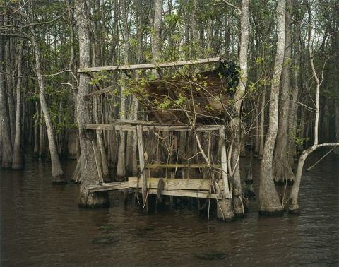 Berry Bay, Louisiana Jane Deering Gallery Nell Campbell C-print