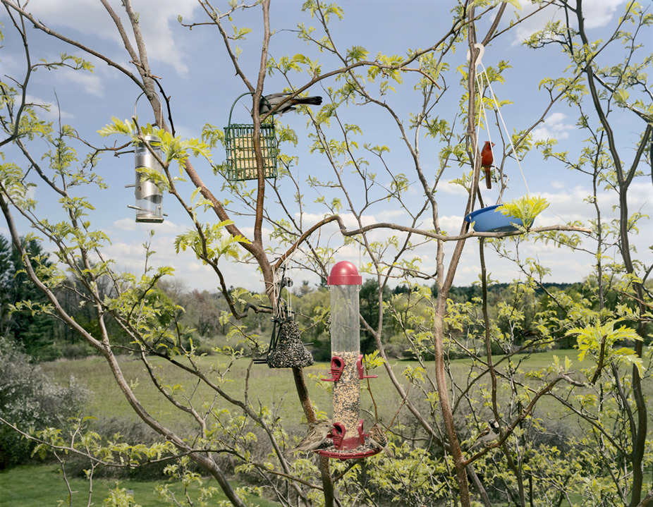 Sustenance 104 Jane Deering Gallery A Turning Point | the contemporary landscape Iris print on Somerset Velvet paper