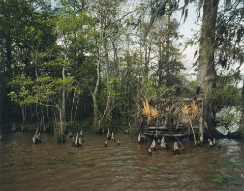 Goss Bay, Louisiana Jane Deering Gallery Nell Campbell C-print