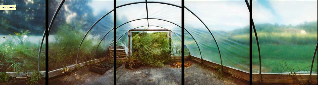 Marshall's Farm Jane Deering Gallery A Turning Point | the contemporary landscape Archival Pigment Print