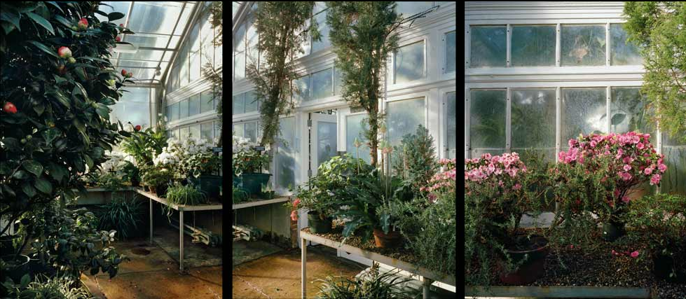 Seasonal Display House, Wellesley College, Wellesley, Massachusetts Jane Deering Gallery A Turning Point | the contemporary landscape Archival Pigment Print