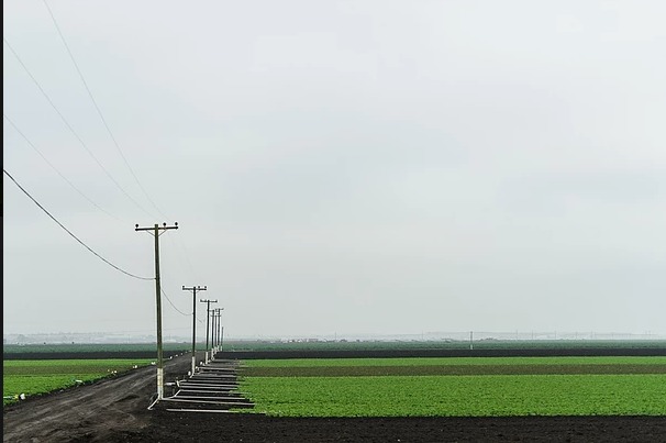 Corporate Farming Jane Deering Gallery A Turning Point | the contemporary landscape Archival Pigment Print