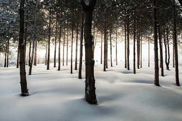 Good Blanket Jane Deering Gallery A Turning Point | the contemporary landscape Archival Pigment Print on aluminum
