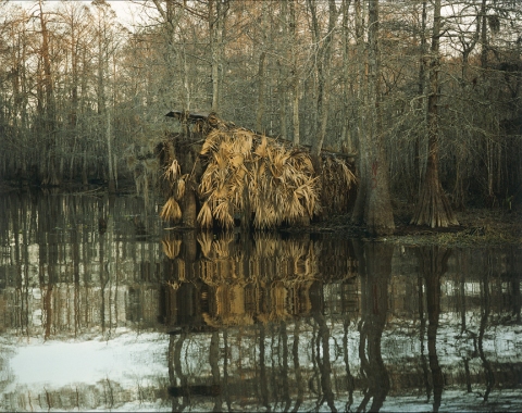 Taj Mahal, Old Town Bay, Louisiana Jane Deering Gallery Nell Campbell C-print