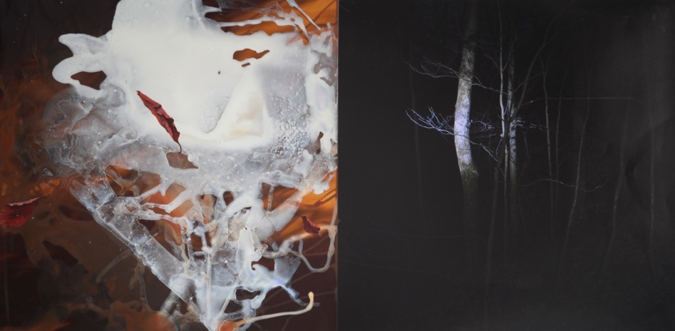 Untitled Jane Deering Gallery A Turning Point | the contemporary landscape Mixed media