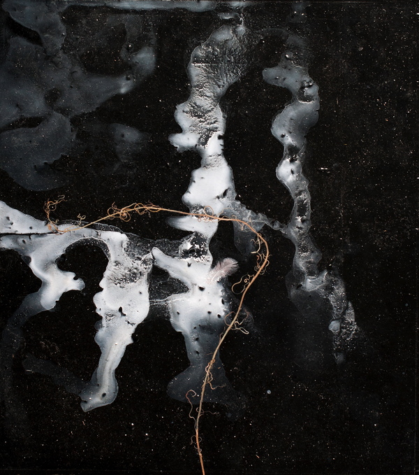 from the series 'Death of Nature' Jane Deering Gallery A Turning Point | the contemporary landscape Mixed media