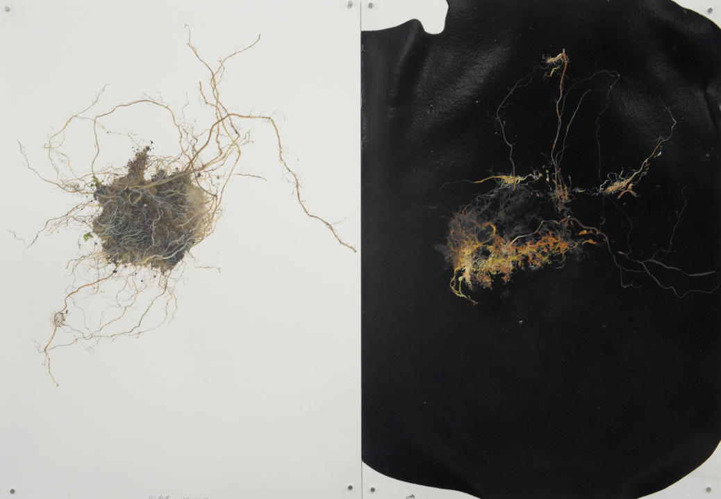 Dirt and Death of Nature Jane Deering Gallery A Turning Point | the contemporary landscape Mixed Media