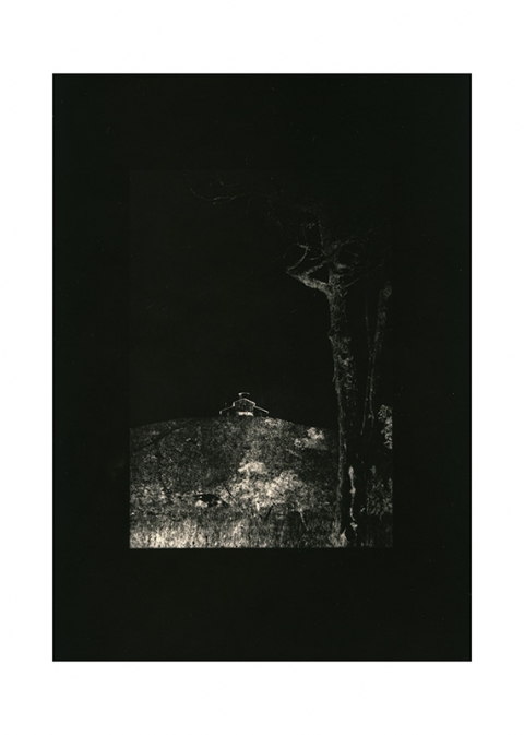 Much of Madness Jane Deering Gallery Gail Pine Silver gelatin print