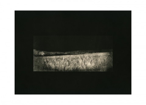 At Noon of Night Jane Deering Gallery Gail Pine Silver gelatin print
