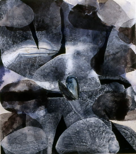 Shell, sitting still -- Beverly, MA Jane Deering Gallery Michael Porter Gouache & pva on paper