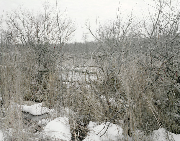 Kaveski Farm Conservation Land Around the Concord River Archival Pigment Print on Hahnemuhle Rag Paper