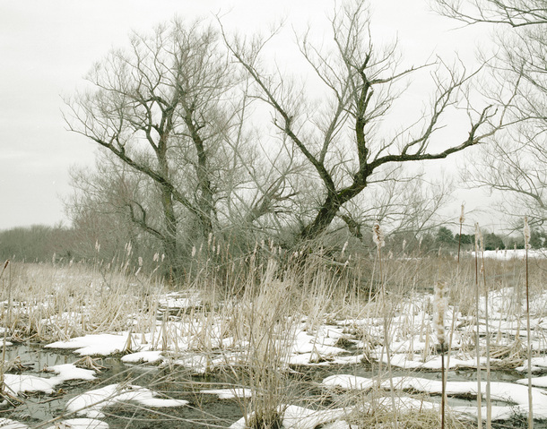 Kaveski Farm Conservation Land Around the Concord River Archival Pigment Print on Hahnemuhle Rag Paper