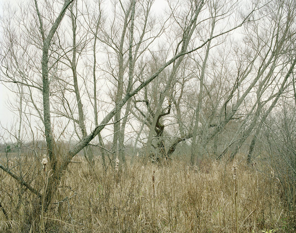 Kaveski Farm Conservation Land Around the Concord River Archival Pigment Print on Hahnemuhle Rag Paper
