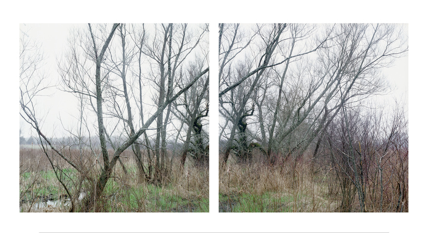 Kaveski Farm Conservation Land Around the Concord River Archival Pigment Print on Epson Presentation Mat Paper