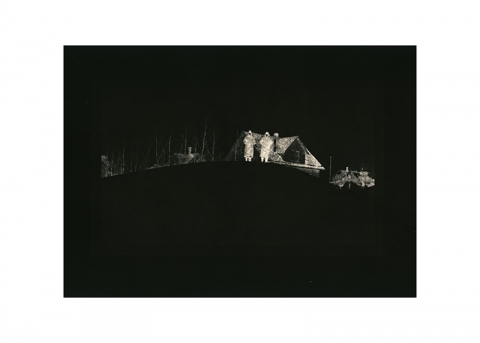 Delicate Stems Jane Deering Gallery Gail Pine Silver gelatin print