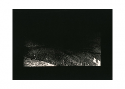 An Opiate Vapor Jane Deering Gallery Gail Pine Silver gelatin print