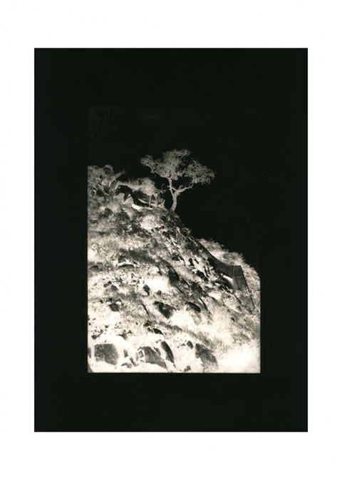 The Enamored Moon Jane Deering Gallery Gail Pine Silver gelatin print