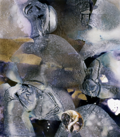 Shell, sitting still -- Annisquam MA #1 Jane Deering Gallery Michael Porter Gouache & pva on paper