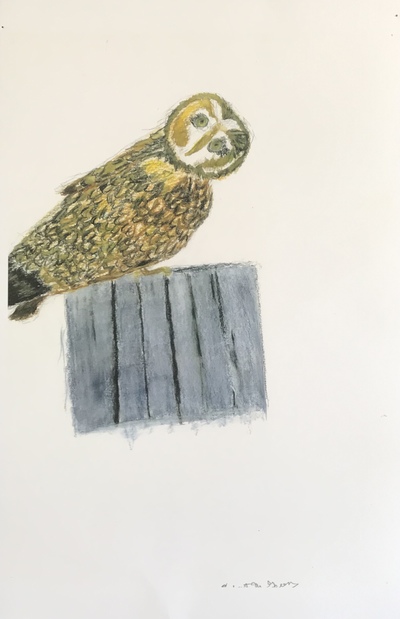 Rob Green (d.2019) Jane Deering Gallery Formally Taught ..... And Not Color print reduction of original watercolor