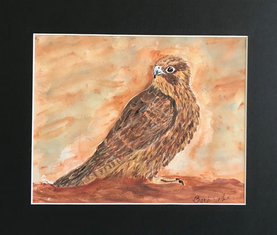 Barbara Jobe Jane Deering Gallery Formally Taught ..... And Not Watercolor
