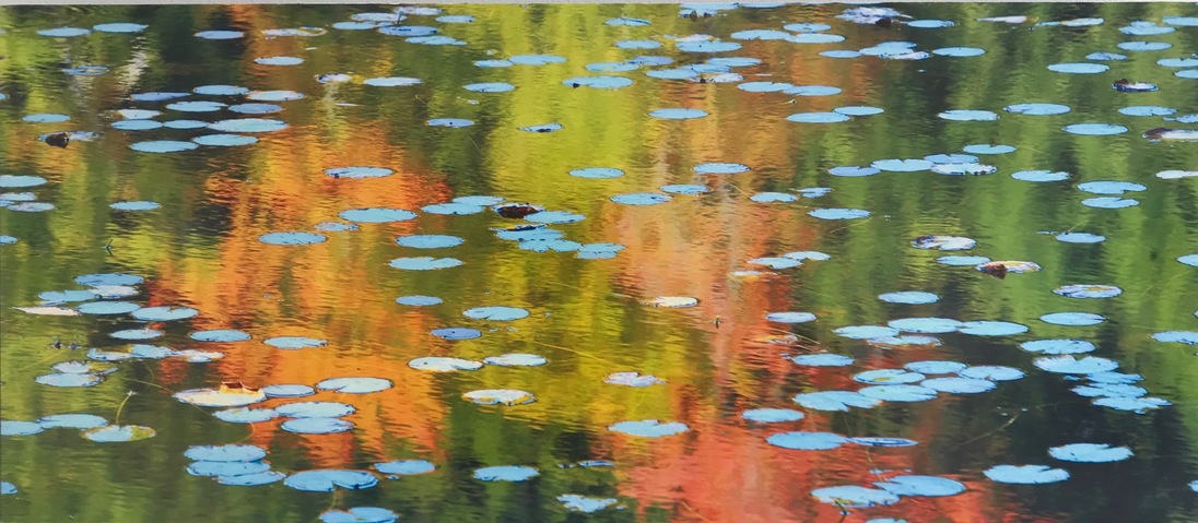 Bill Sumner Jane Deering Gallery Formally Taught ..... And Not Photograph mounted on mat board