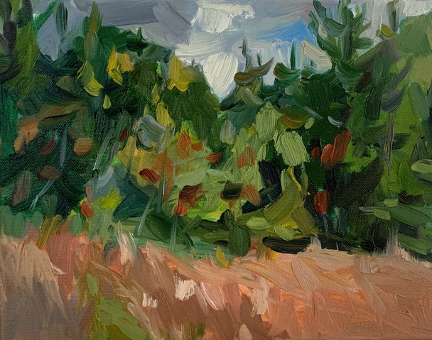 Summer Sky Jane Deering Gallery Vanessa Michalak | Green Space Oil on canvas