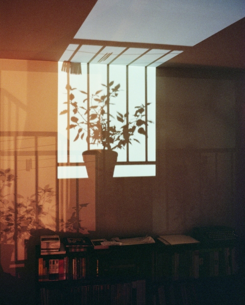 Untitled #9 Jane Deering Gallery Stephanie Cardon Archival Inkjet Print on Hahnemuhle Photo Rag Bright White from a 6x7 inch negative