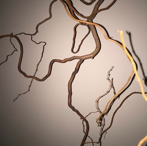 Untitled Jane Deering Gallery Gail Barker | Art as Process Found wood