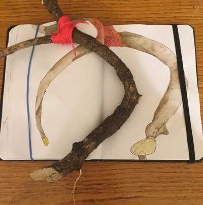 #5 from the Daily Drawing Series Jane Deering Gallery Gail Barker | Art as Process Gouache
