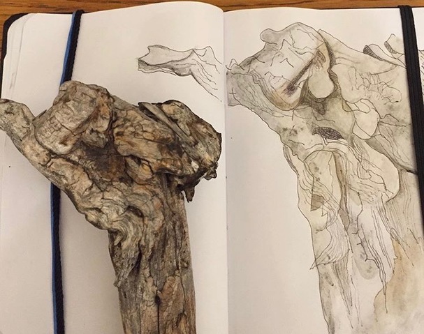#3 from the Daily Drawing Series Jane Deering Gallery Gail Barker | Art as Process Pen and gouache