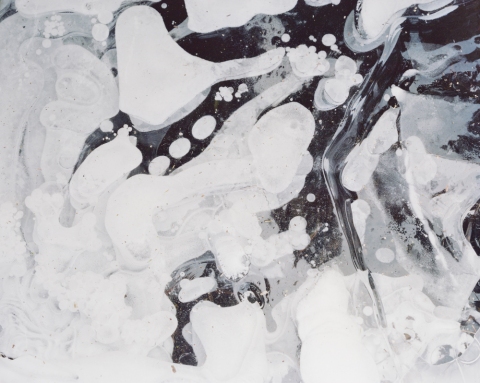 Untitled #7 Jane Deering Gallery Stephanie Cardon Archival Inkjet Print on Hahnemuhle Photo Rag Bright White from a 4x5 inch negative